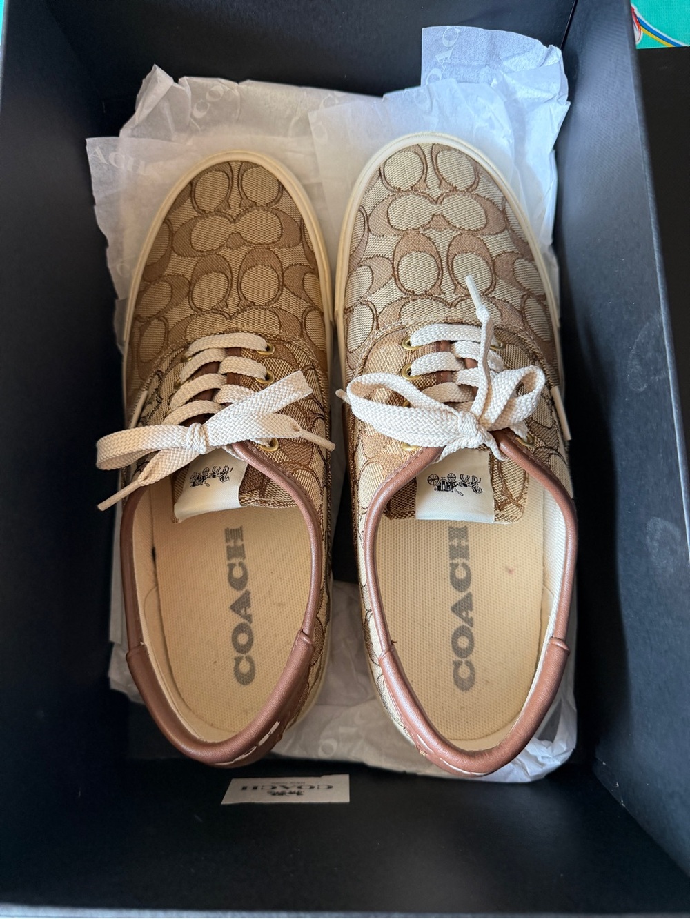 Coach Khaki Signature Canvas Low-Top Sneakers